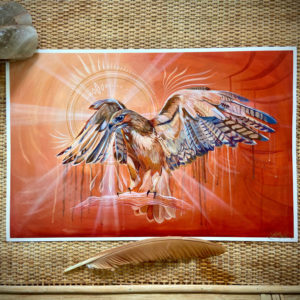 "Hawk 001" Print